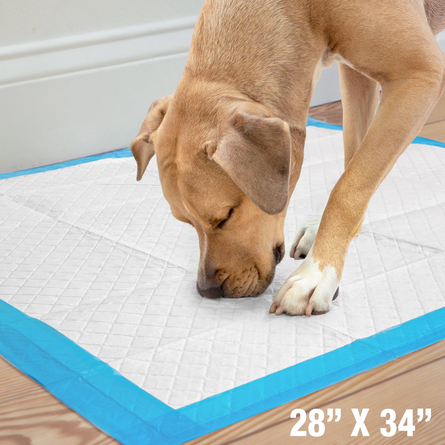 Four Paws Wee-Wee Superior Performance Unscented Extra-Large Pee Pads for Dogs & Puppies, Quilted Leak-Proof Dog Housebreaking Potty Training Floor Protection, 28" x 34", 40 Count