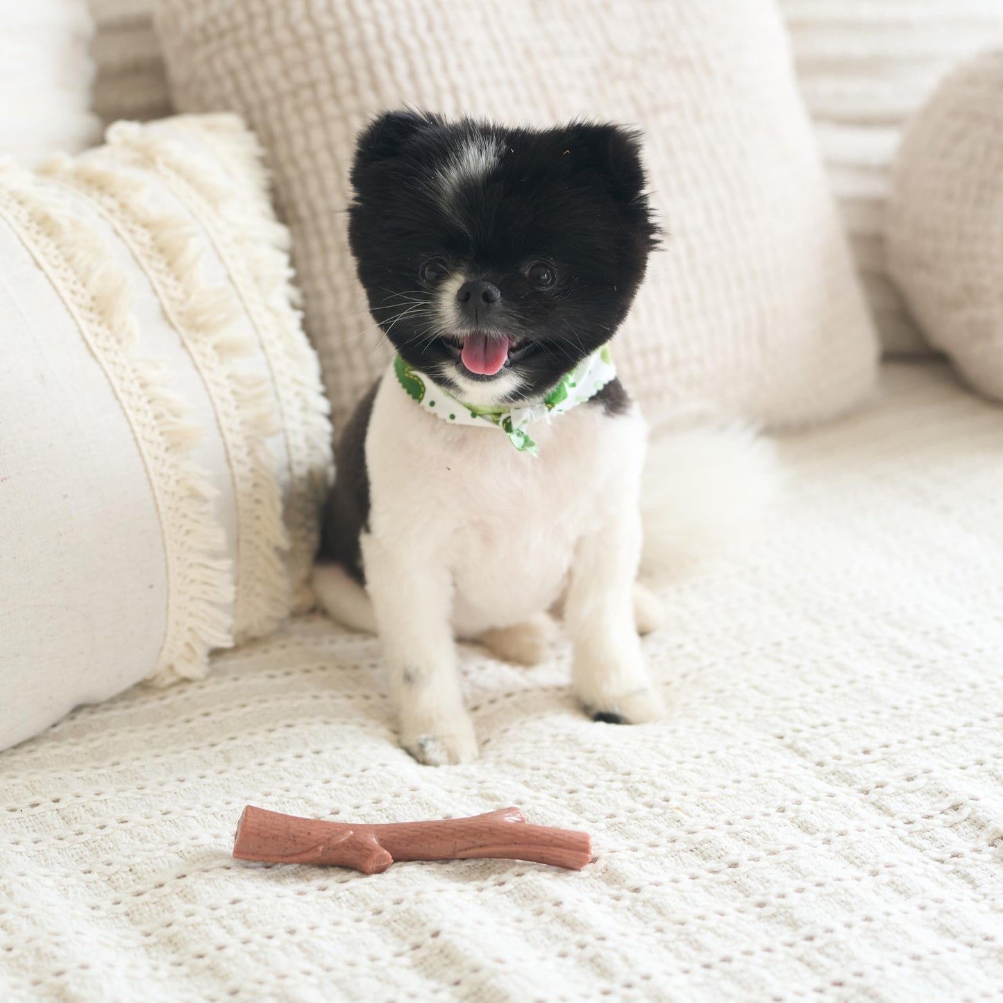 SPOT Bam-Bones Plus Branch -Bamboo Fiber & Nylon, Durable Long Lasting Dog Chew for Aggressive Chewers – Great Toy for Adult Dogs & Teething Puppies Under 60lbs, Non-Splintering, 5.75in, Beef Flavor