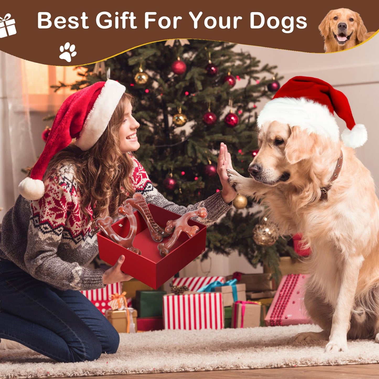 NOUGAT Indestructible Dog Toys - 3 Pack Tough Nylon Bacon Flavor Chew Toys for Large, Medium & Small Breeds