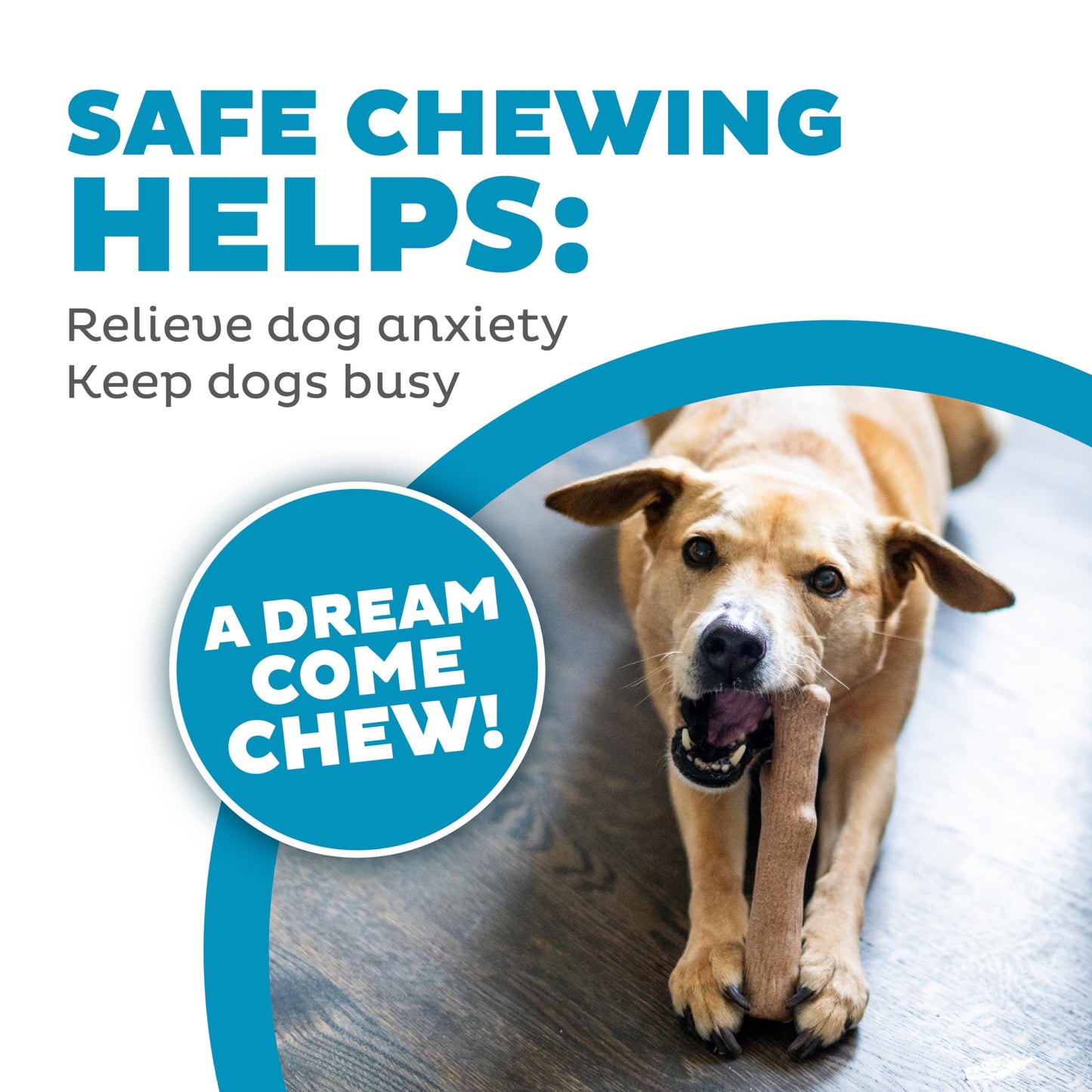 Outward Hound Dogwood Wood Durable Dog Chew Toys, Real Wood & Calming Hemp, 2-Pack, Medium