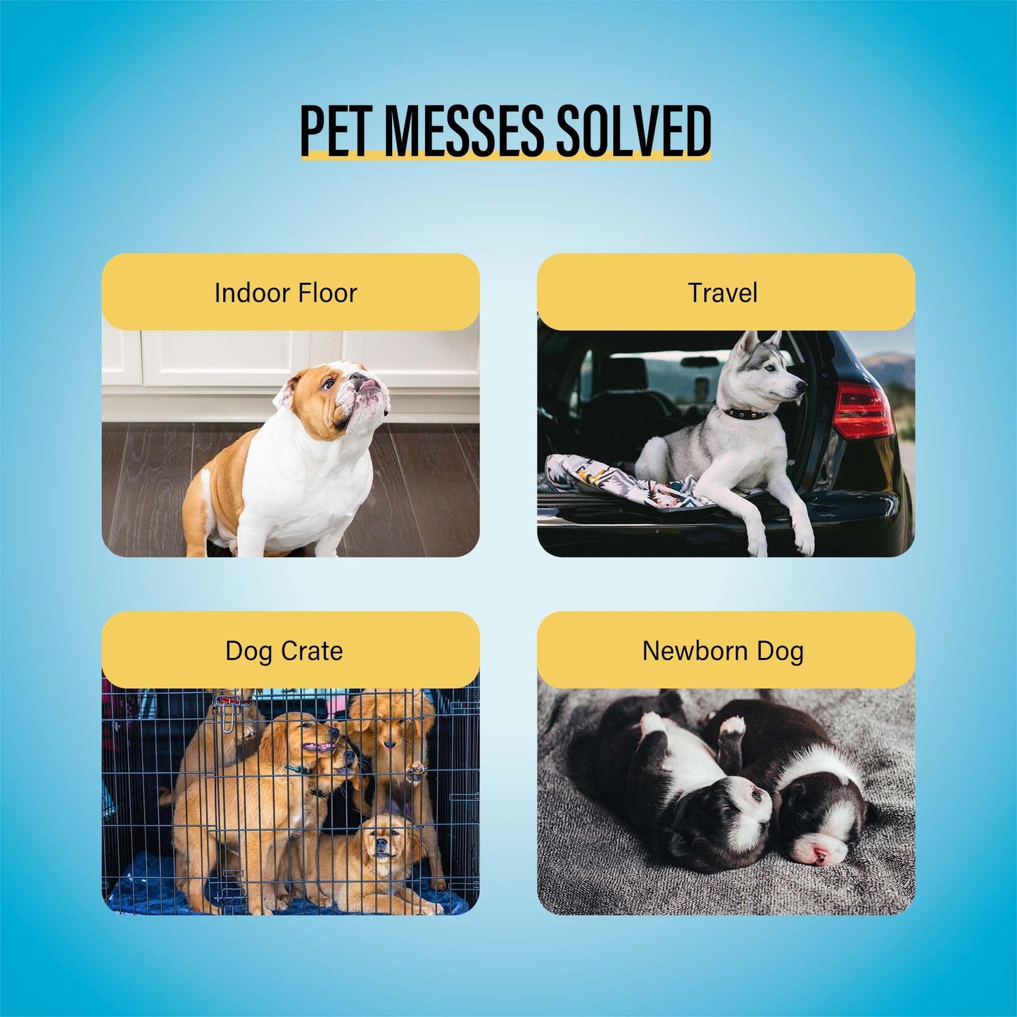 COCOYO Best Value Training Pads, 40Count, 28" by 34"