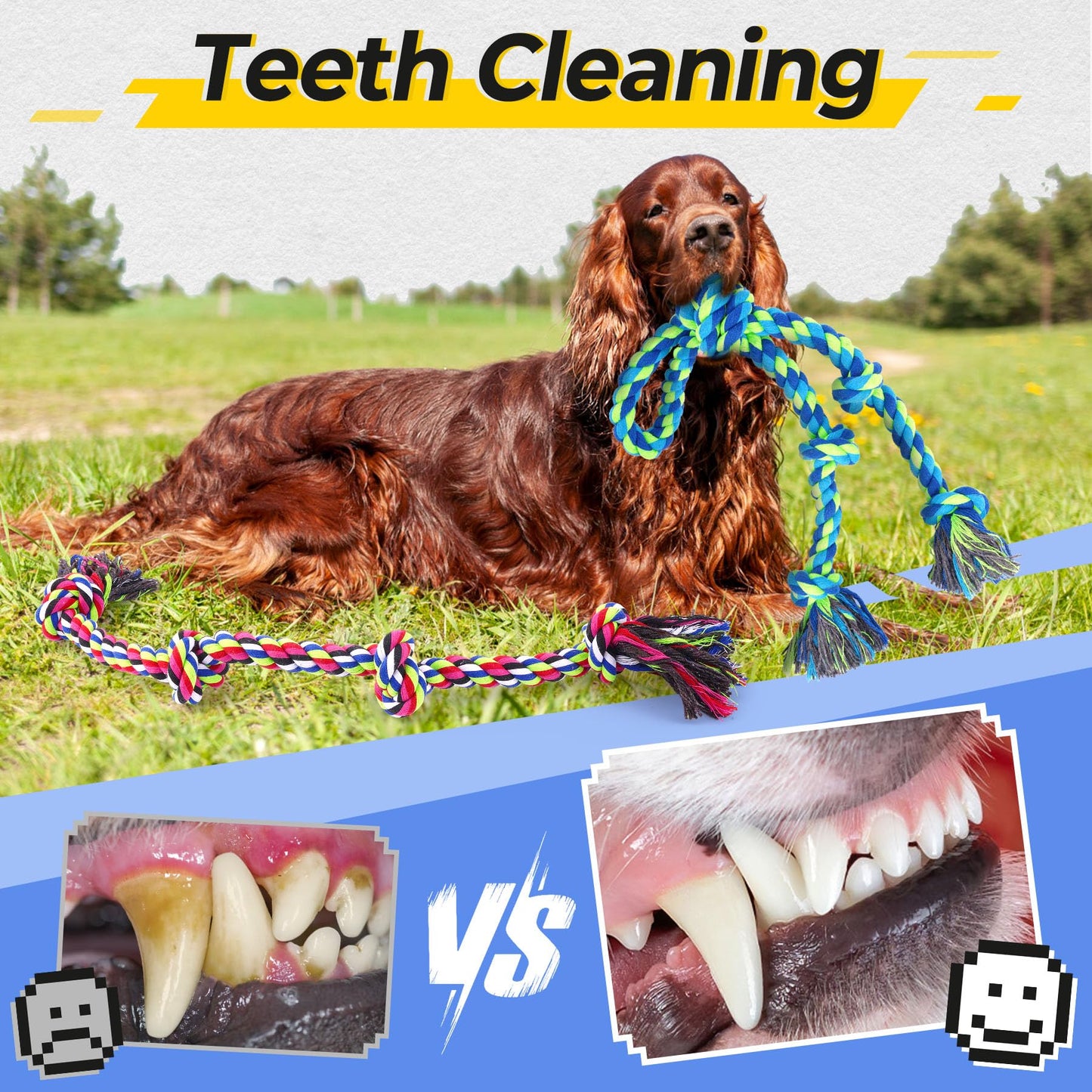 Eefitoys Heavy Duty Dog Rope Toys for Aggressive Chewers, Tough Tug of War Dog Toys for Large, Medium & Small Dogs – 5 Pack Including 2 Ropes & 3 Supplies