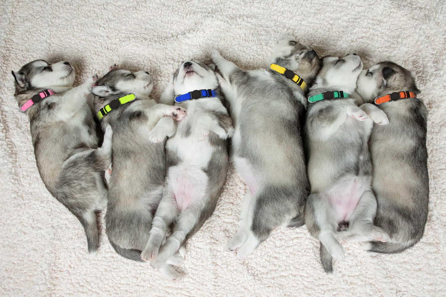 20 PCS Puppy Collars for Litter,Puppy Collars for Small Puppies,Nylon Breakaway ID Collar Whelping Litter Collars(S)