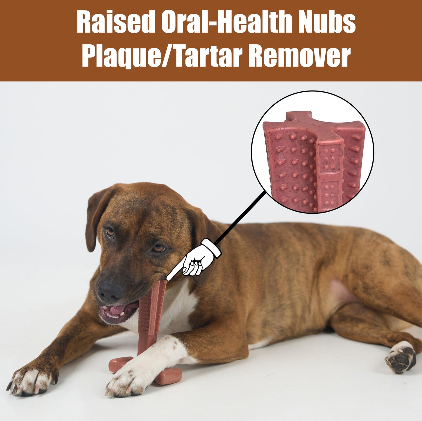 SPOT Bam-Bones Plus T-Bone, Bamboo Fiber & Nylon Dog Chew, Durable for Aggressive Chewers, Non-Splintering, for Adult Dogs & Teething Puppies Under 60lbs, 6in, Beef Flavor