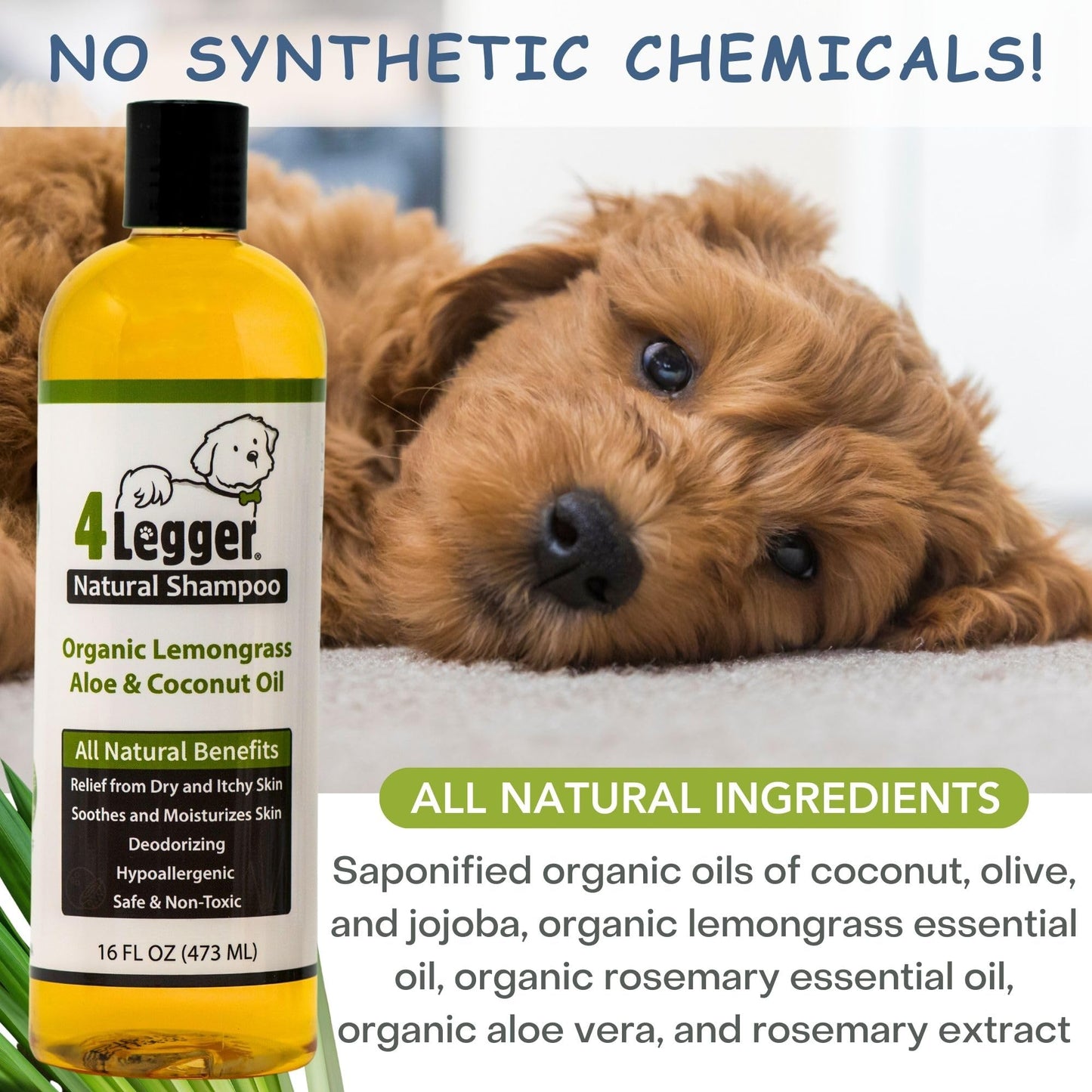 4-Legger Certified Organic Dog Shampoo - All Natural and Hypoallergenic with Aloe and Lemongrass, Soothing for Normal, Dry, Itchy or Allergy Sensitive Skin - Biodegradable - Made in USA - 16 oz