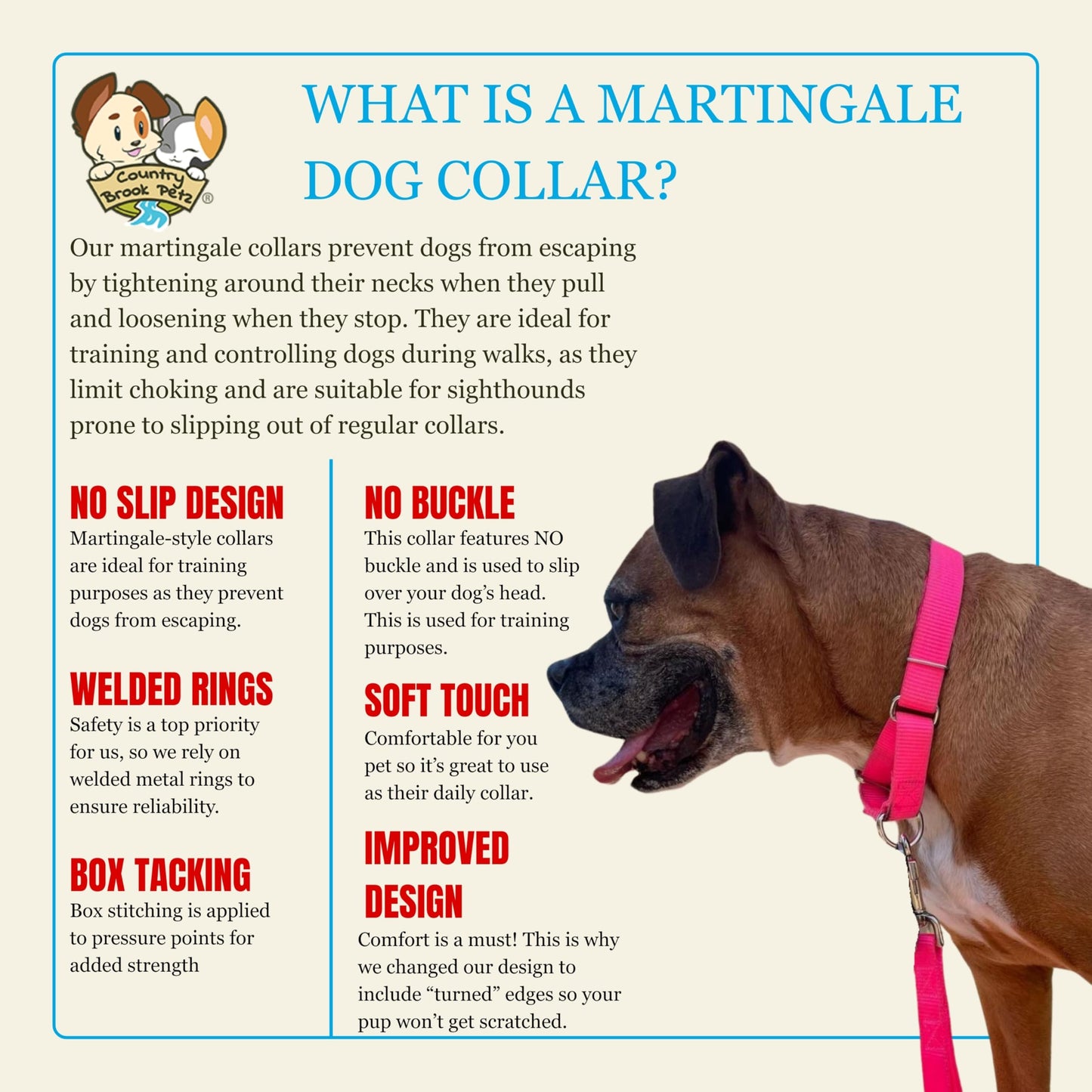 Country Brook Petz Martingale Dog Collar - Heavy-Duty Training Collar with No Buckle - Service Dog Collar for All Pups - Vibrant, Colorful Collection (Hot Pink, 1 Inch, Medium)