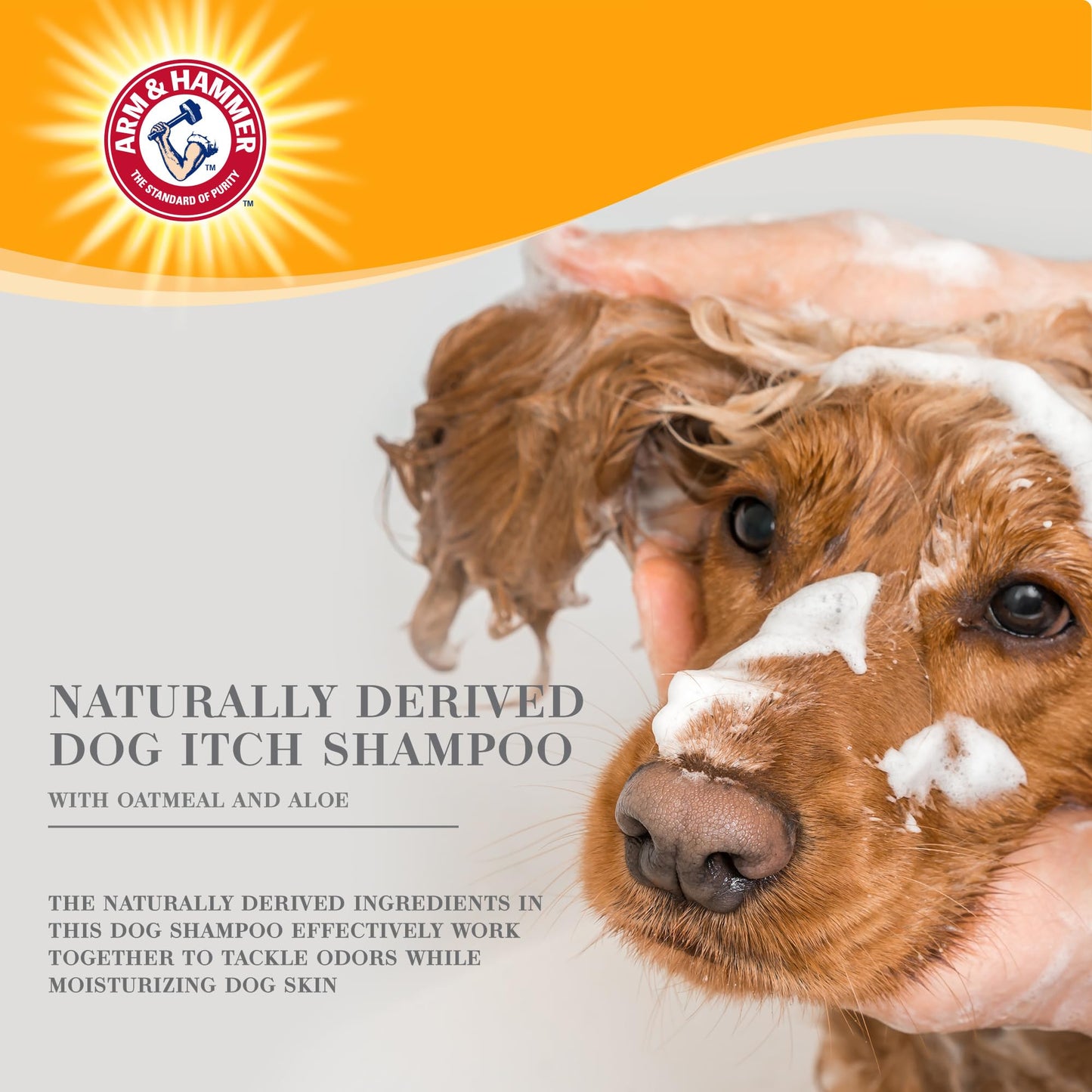 Arm & Hammer for Pets Ultra Fresh Itch Relief Shampoo With Oatmeal & Aloe Value Size With Pump 24oz | Great Smelling Dog Grooming Supplies, Bathing Supplies, Wash, Puppy Shampoo, Pet Shampoo
