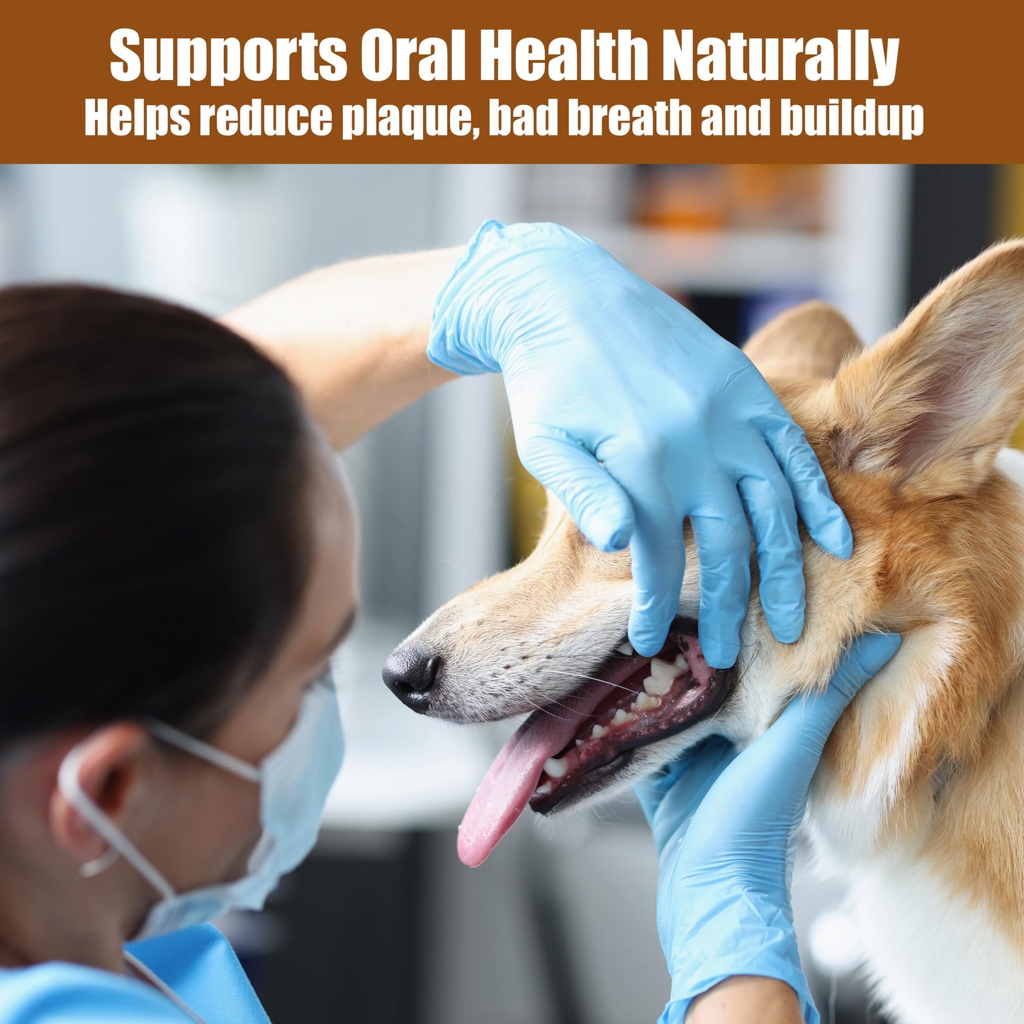 SPOT Bam-Bones Plus Branch -Bamboo Fiber & Nylon, Durable Long Lasting Dog Chew for Aggressive Chewers – Great Toy for Adult Dogs & Teething Puppies Under 60lbs, Non-Splintering, 5.75in, Beef Flavor