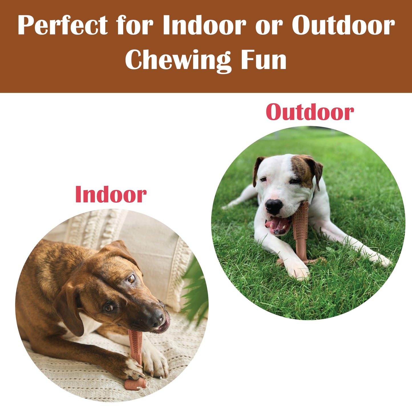 SPOT Bam-Bones Plus T-Bone, Bamboo Fiber & Nylon Dog Chew, Durable for Aggressive Chewers, Non-Splintering, for Adult Dogs & Teething Puppies Under 60lbs, 6in, Beef Flavor