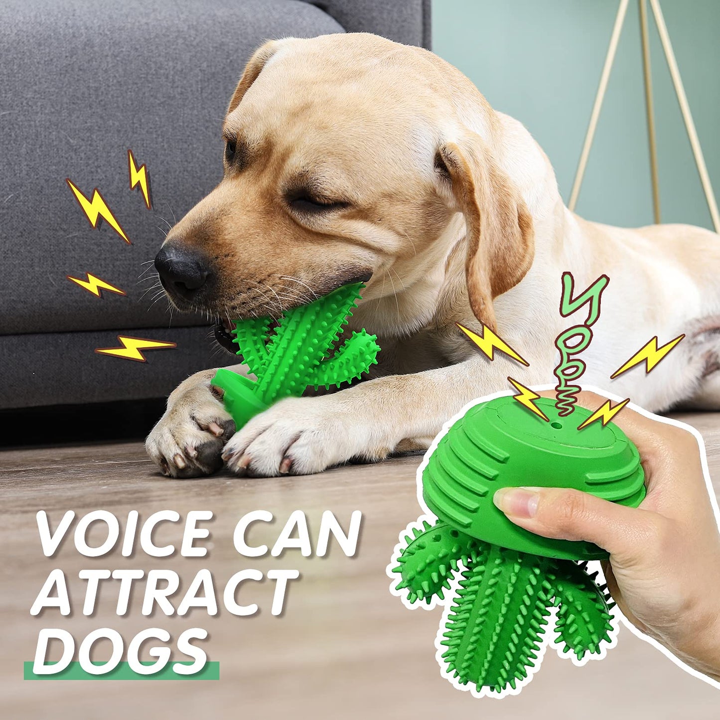 Pamlulu Dog Chew Toys Dog Toothbrush Stick Teeth Cleaning Brush Dental for Medium Large Dog, Puppy Christmas Easter Birthday Gifts, Outdoor Squeaky Toys for Aggressive Chewers Interactive Tough Toys