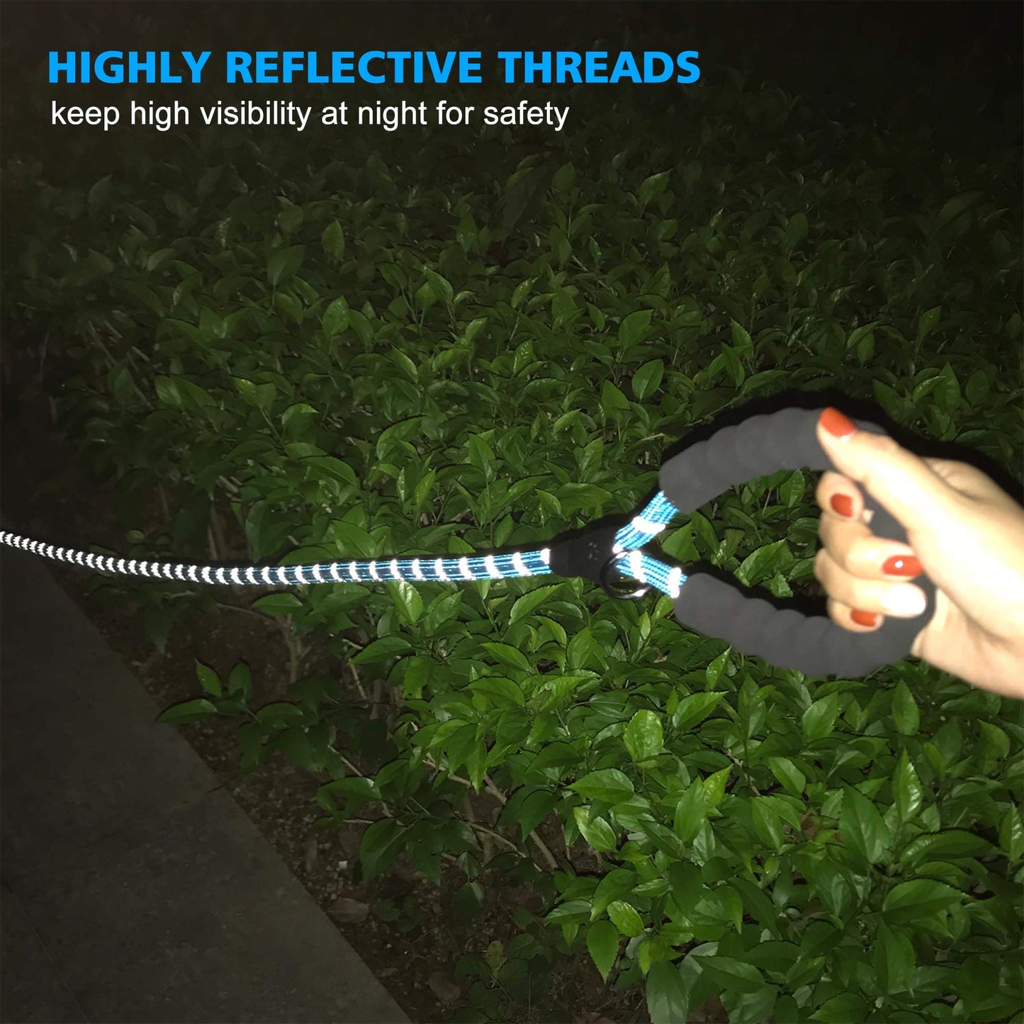 Ladoogo Reflective Dog Collar Padded with Soft Neoprene Breathable Adjustable Nylon Dog Collars for Small Medium Large Dogs (Medium (Pack of 1), Blue Collar+Leash)