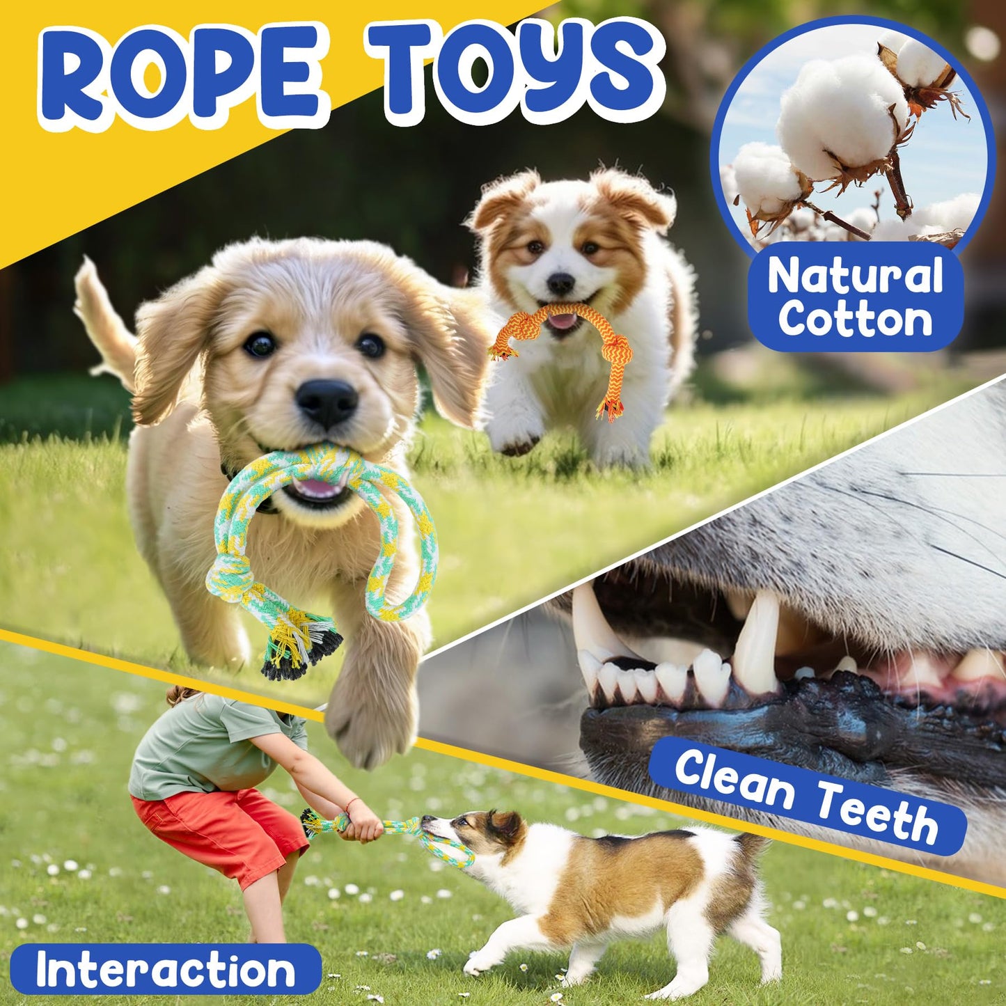 PatsFran Puppy Toys for Teething, 9 Pack Interactive Dog Toys for Small Dogs, Puppy Chew Toys for Boredom with Rope Toys, Treat Ball and Cute Squeaky Toys
