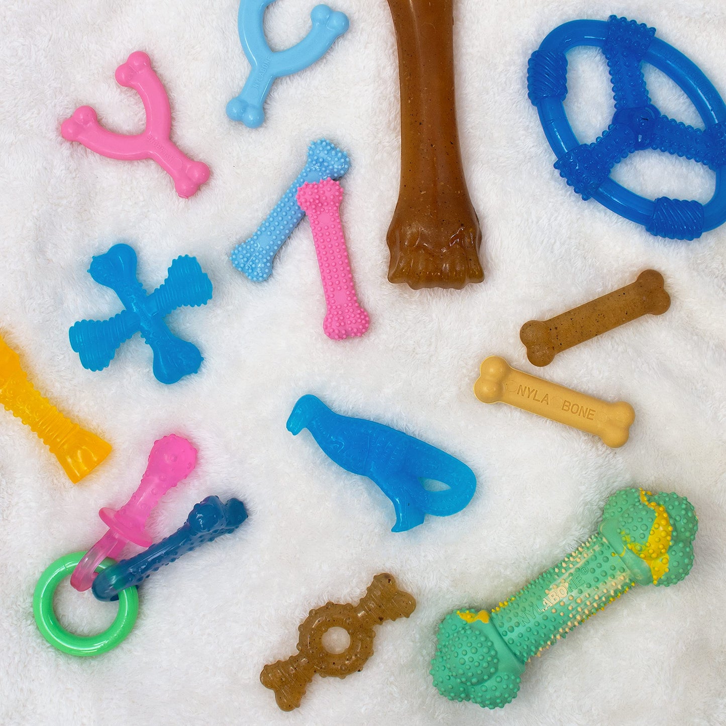 Nylabone Ring Bone Chew Toy for Puppies, Puppy Teething Toys, Puppy Enrichment Toys, Chicken Flavor, X-Small Dogs - Up to 15 lbs, 1 Count