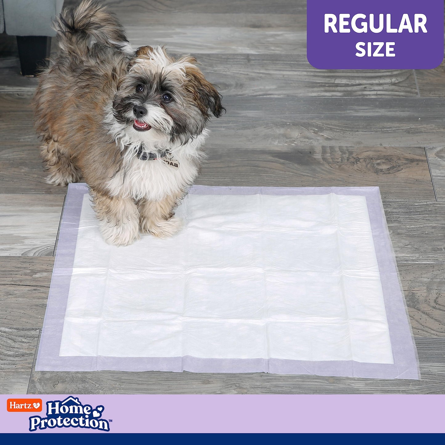Hartz Home Protection Lavender Scented USA Made Dog Pads, 50 count, Super Absorbent & Won't Leak, Odor Eliminating