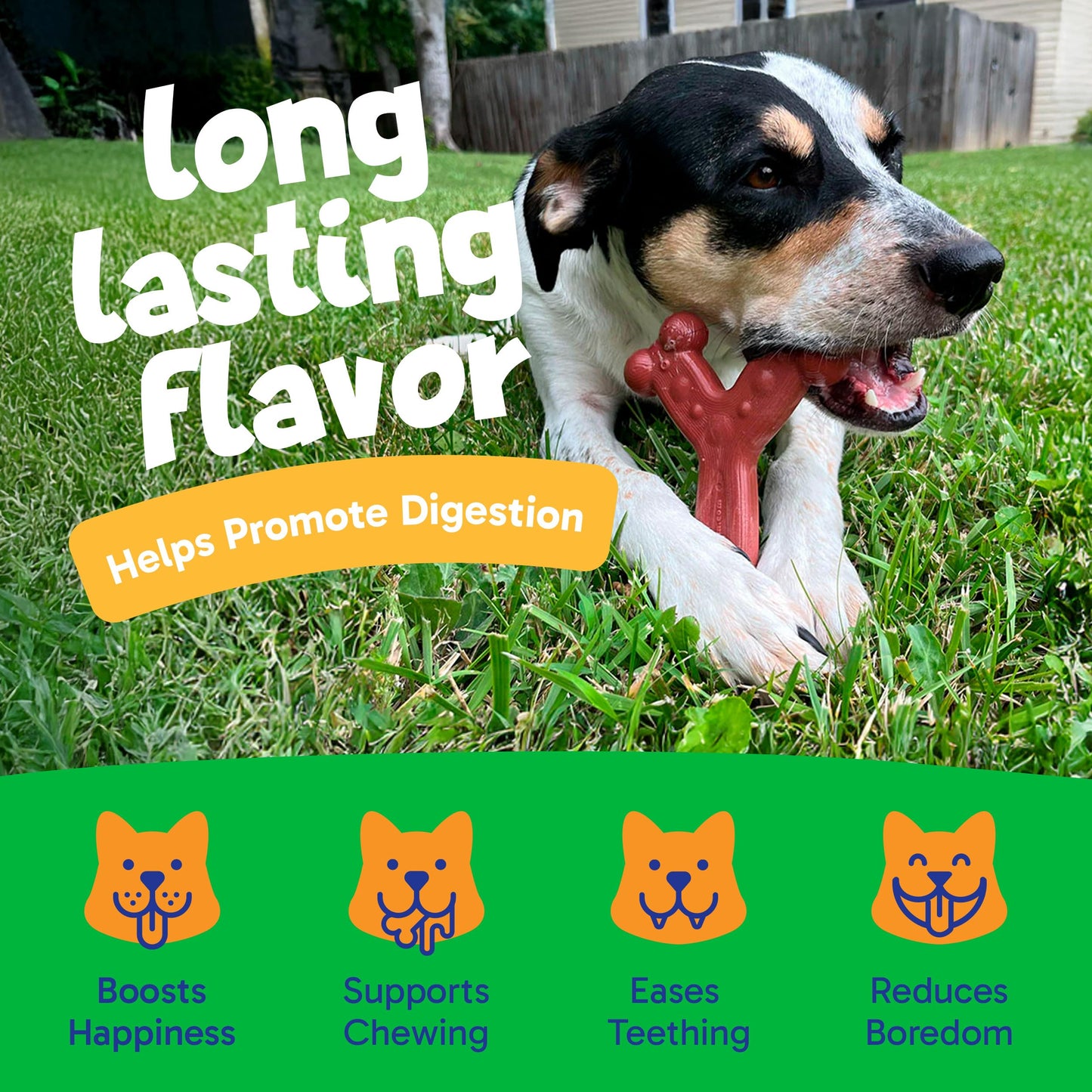 Chew'ems Durable Chew Toys for Small Dogs | Long-Lasting & Flavorful Chew Dog Toys, Small Dog Breeds | Chicken-Flavored