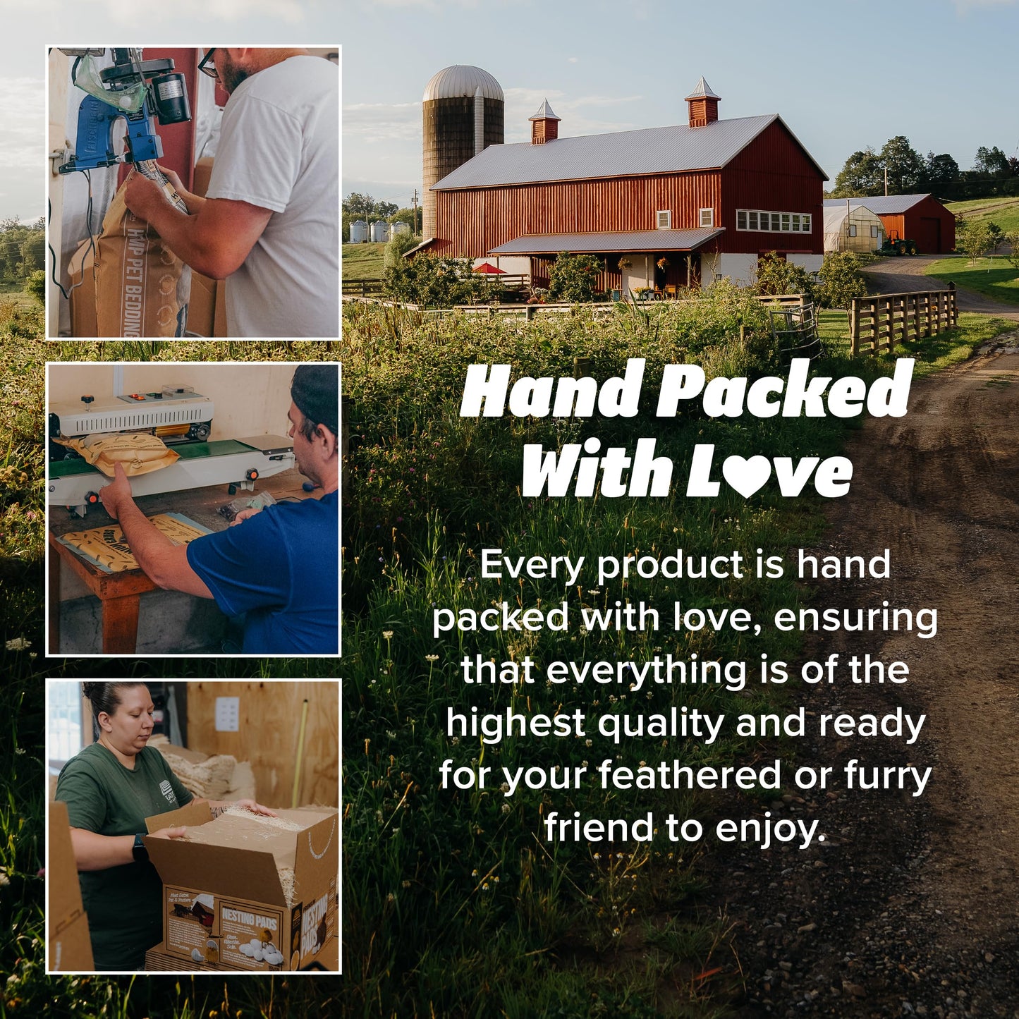 Eaton Pet and Pasture, Premium Laying Hen Nesting Pads, USA Grown & Sustainably Harvested, 13 x 13 (10 Pack)