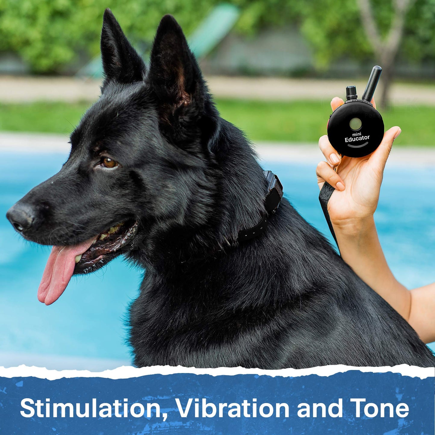 Educator - ET-300 Black - Ecollar Dog Training Collar with Remote Control - 1/2 Mile Range, Waterproof, Rechargeable, 100 Training Stimulation Levels, Vibration and Tone W/PetsTEK Training Clicker
