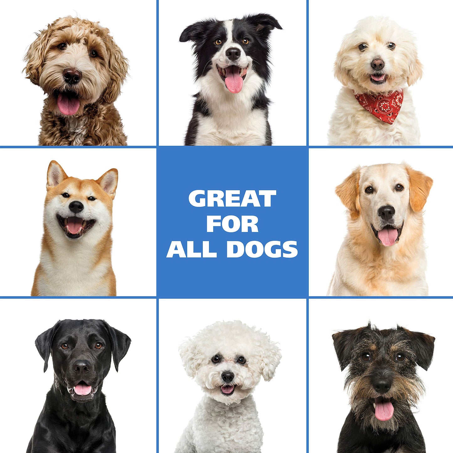 Wahl USA Pet Friendly Waterless No Rinse Shampoo for Animals – Lavender & Chamomile Scented - Cleaning, Conditioning, Detangling, & Moisturizing Shampoo for Dogs – 7.1 Oz - Model 820014A