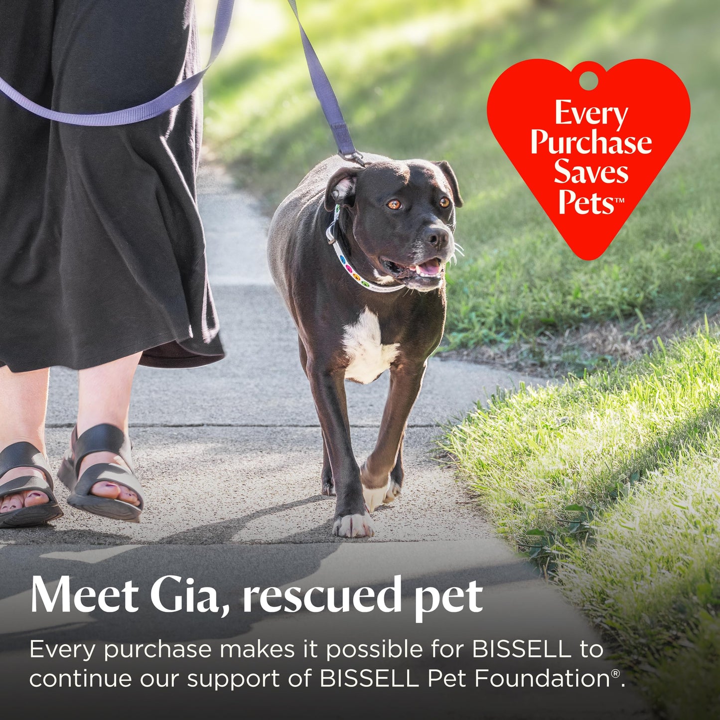 Bissell Pet Hair Eraser Allergen Lift-Off with Powerful Suction, HEPA, Tangle-Free Brush Roll, 39883