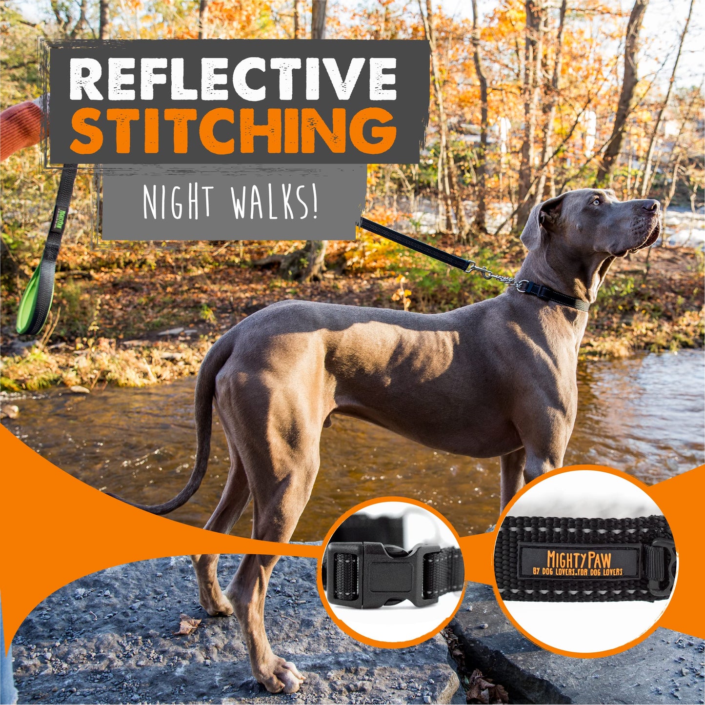 Mighty Paw Martingale Dog Collar 2.0 | Trainer Approved Limited Slip Collar with Stainless Steel Chain & Heavy Duty Buckle - Modified Cinch Collar for Gentle & Effective Pet Training - Large, Black