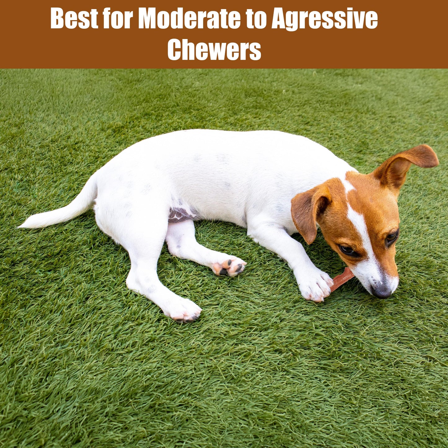 SPOT Bam-Bones Plus Branch -Bamboo Fiber & Nylon, Durable Long Lasting Dog Chew for Aggressive Chewers – Great Toy for Adult Dogs & Teething Puppies Under 60lbs, Non-Splintering, 5.75in, Beef Flavor