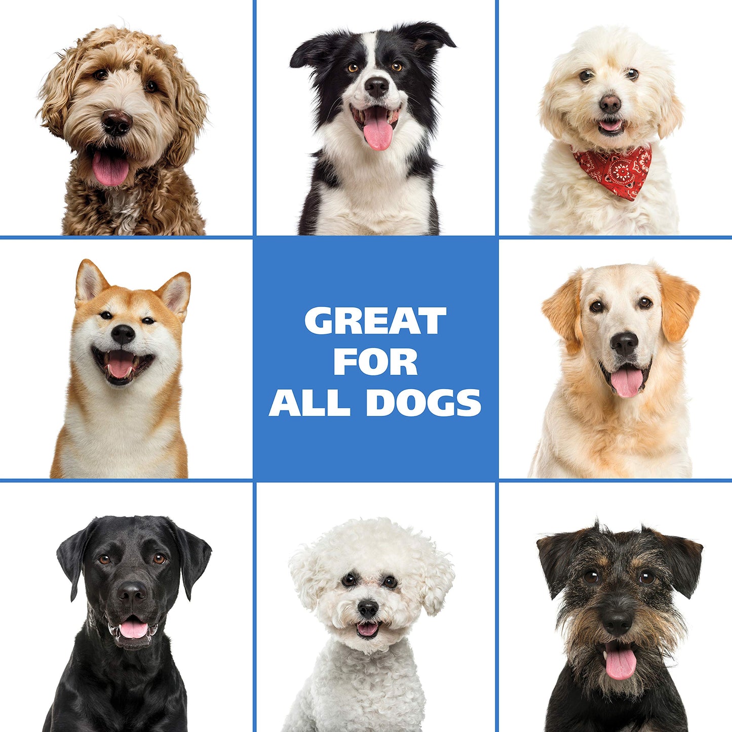 Wahl USA Pet Friendly Waterless No Rinse Shampoo for Animals - Coconut Lime Verbena Scent – Oatmeal Formula Cleans, Conditions, Detangles & Moisturizes Dogs Fur – 7.1 Oz - Model 820015A