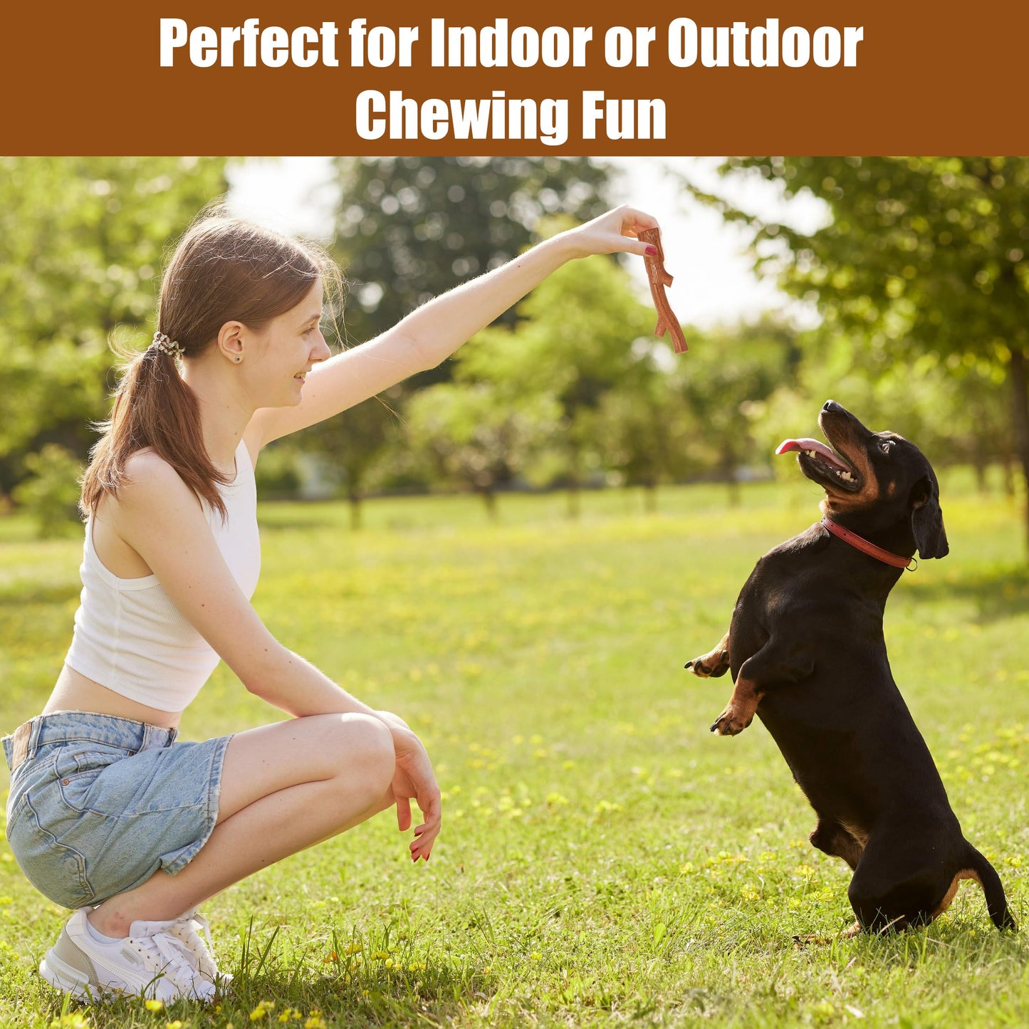 SPOT Bam-Bones Plus Branch -Bamboo Fiber & Nylon, Durable Long Lasting Dog Chew for Aggressive Chewers – Great Toy for Adult Dogs & Teething Puppies Under 60lbs, Non-Splintering, 5.75in, Beef Flavor