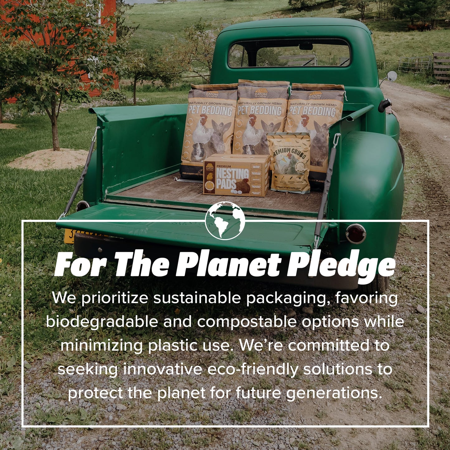 Eaton Pet and Pasture, Premium Laying Hen Nesting Pads, USA Grown & Sustainably Harvested, 13 x 13 (10 Pack)